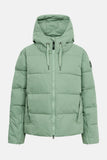 Richholm Damen Winterjacke Hedge Green Grün